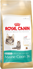 Royal Canin Kitten Maine Coon