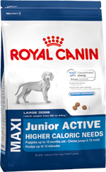 Royal Canin Maxi Junior Active